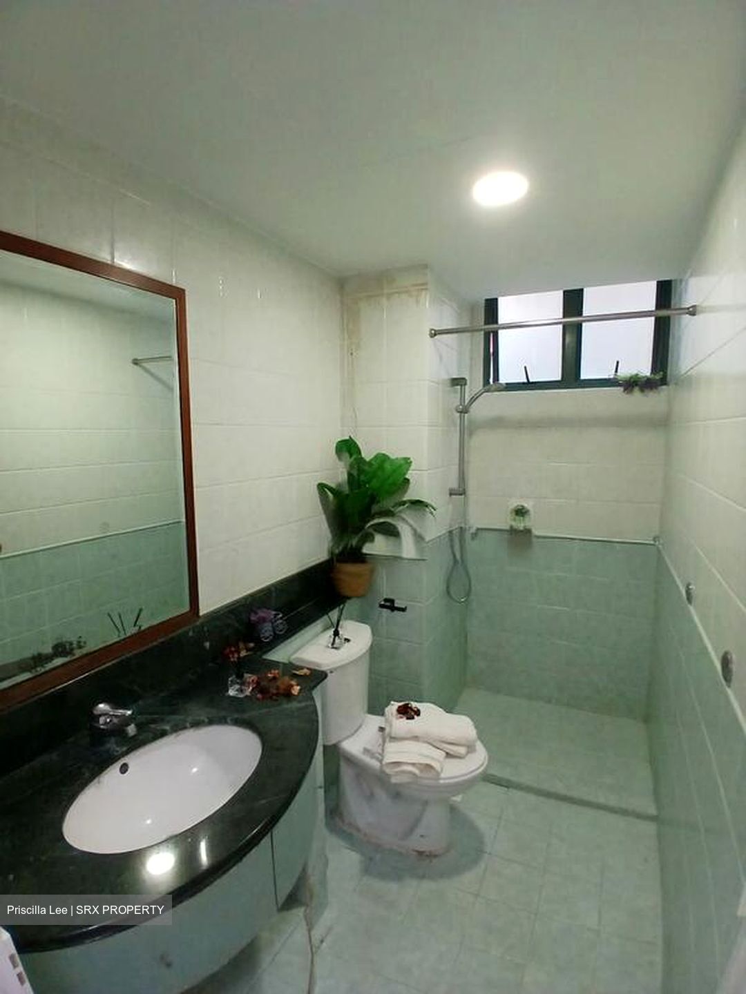 Summerdale (D22), Condominium #500771041